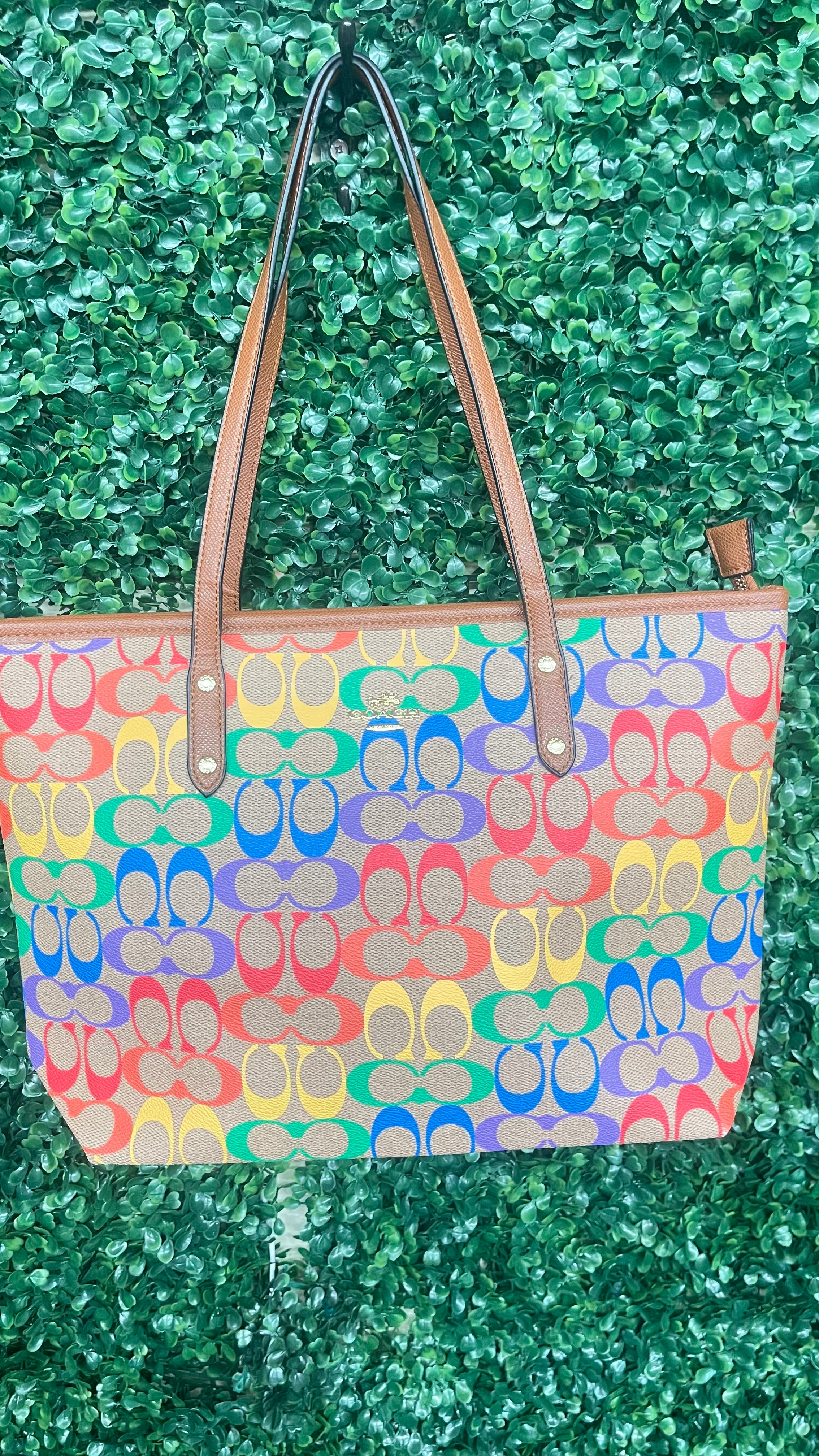 Coach-Inspired Rainbow Signature City Tote — Never Full